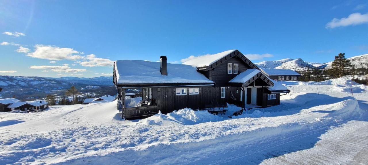 Wonderful Cabin With Amazing Mountain - View Villa Lifjell Exterior foto