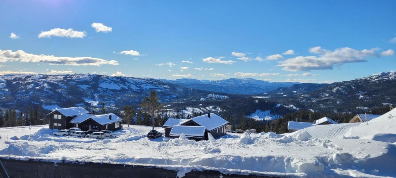 Wonderful Cabin With Amazing Mountain - View Villa Lifjell Exterior foto