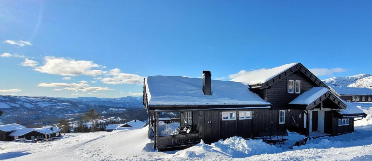 Wonderful Cabin With Amazing Mountain - View Villa Lifjell Exterior foto